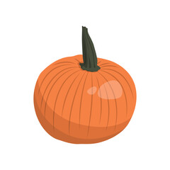 Realistic big orange pumpkin on white background - Vector illustration