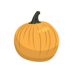 Realistic big orange pumpkin on white background - Vector illustration
