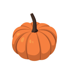 Realistic big orange pumpkin on white background - Vector illustration