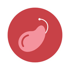 Fototapeta premium Spleen organ icon