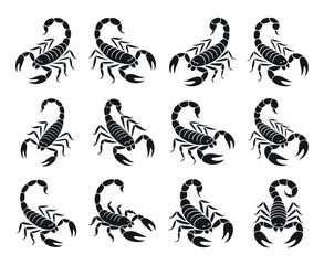 Collection of Black and White Scorpion Silhouettes in Various Positions Nine stylized scorpion silhouettes arranged grid pattern scorpion silhouette black white animal insect
