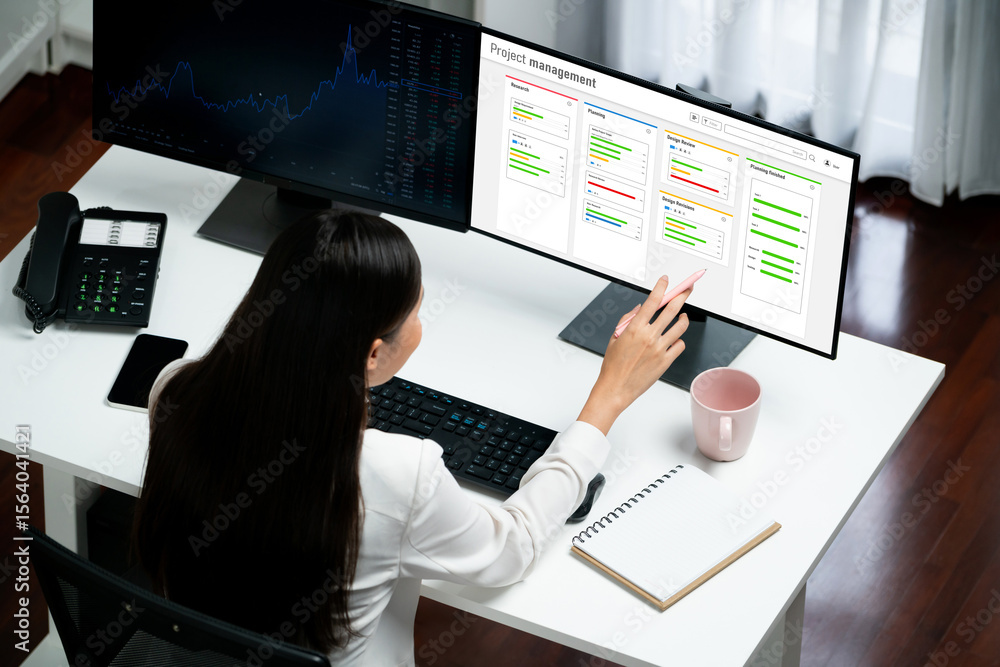 Poster project planning software for brisk business project management on the computer screen showing timel