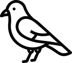 vector illustration of a pigeon