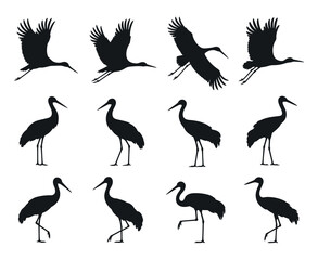 Silhouette Illustrations of Cranes in Various Poses Black silhouettes cranes flight and standing positions crane bird silhouette flying standing wildlife animal nature illustration