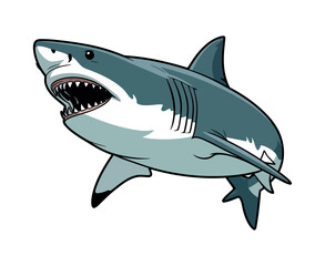 Cartoon Illustration of a Great White Shark with Open Jaws stylized illustration great white shark open mouth shark great white shark ocean marine
