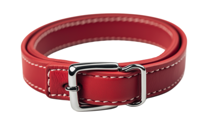 Red leather dog belt with metal buckle, isolated on white background or transparent PNG.
