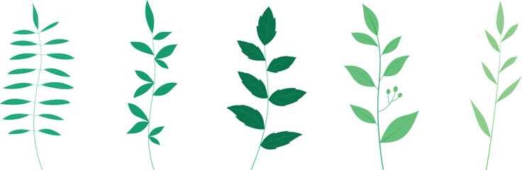 Set of Green Botanical Leaf Branches in Flat Minimal Style, Editable Vector Elements for Nature and Decoration