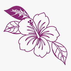 pink rose on a white background