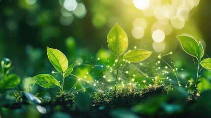 Sustainable energy biohacking guide lifestyle strategy habit formation supplement support wellness improvement personal vitality optimization daily performance routine