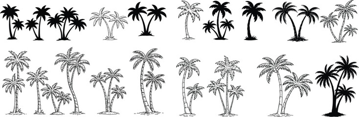 Fototapeta premium Vector Palm Tree Set. Collection of Tropical Black Silhouettes and Outline Sketch Illustrations for Summer Design.