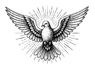 Holy Spirit Dove with Rays &ndash; Vintage Engraving Religious Vector Illustration, PNG Transparent