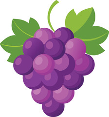 vector illustration of grapes