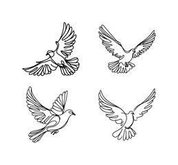 vector set of continous line drawing - dove flying (artwork 1)