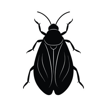 spittlebug insect silhouette vector