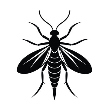 snakefly insect silhouette vector