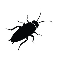 pygmy mole cricket silhouette vector