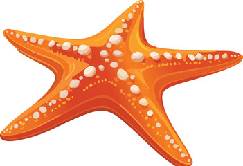 Sleepy Starfish Resting Peacefully on a Sandy Beach