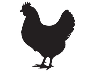 CHICKEN SILHOUETTE