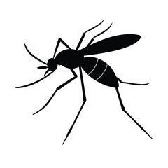 mosquito silhouette vector illustration