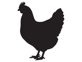 CHICKEN SILHOUETTE