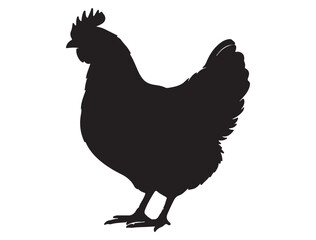 CHICKEN SILHOUETTE