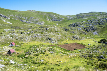 P&acirc;turage et culture dans le parc national du Durmitor, Montenegro