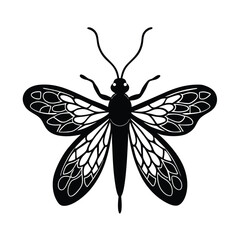 lacewing silhouette vector