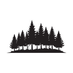 Obraz premium A dense forest of pine trees in a black silhouette isolated on white background silhouette