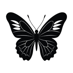 common blue butterfly silhouette vector