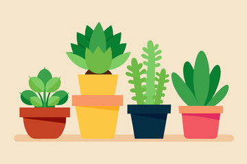 Fototapeta premium cactus in pot