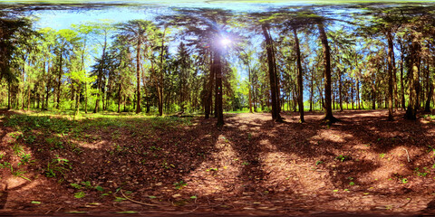 360° HDRI panoramic forest image with strong sunlight and natural ground detail. Great for...