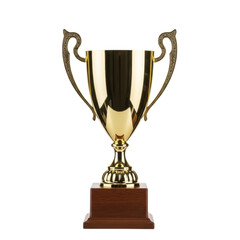 Golden trophy cup on wooden base with ornate handles and reflective surface