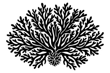 Delicate Coral Vector Design with Spreading Branches Artwork