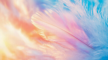 Obraz premium Ethereal feather composition bathed in a gradient of soft pastel colors from warm orange to cool blue, evoking tranquility for peaceful art or gentle print.