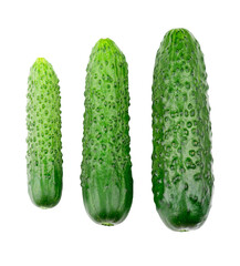 Cucumber isolated on transparent background. Fresh vegetable. PNG format