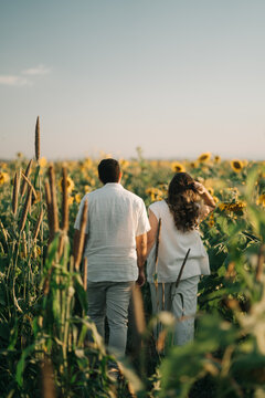 casal no campo de girassol