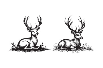 Elegant black and white illustration of two majestic reindeer resting in grass