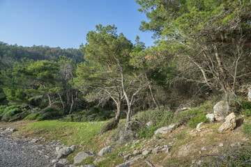 Fototapete bei efototapeten.de bestellen   