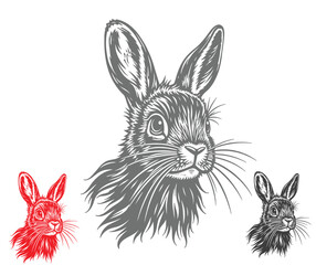 Three rabbit heads in red gray and black line art illustration