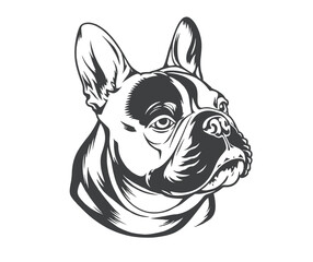 Monochrome Illustration of a French Bulldog Head with Detailed Shading