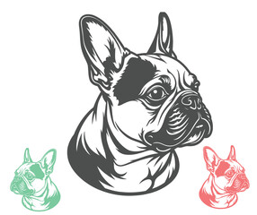 Detailed French Bulldog Head Vector Illustration with Multiple Color Variations
