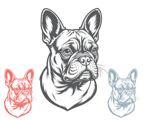 Detailed French Bulldog Head Illustrations in Gray Red and Blue Tones