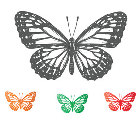 Butterfly Sketch Illustration with Colorful Variations on a White Background