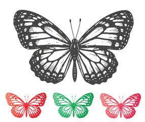 Butterfly Illustration with Black Red and Green Variations on a White Background