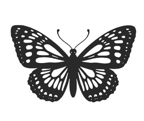 Elegant Butterfly Silhouette with Intricate Wing Patterns on a White Background