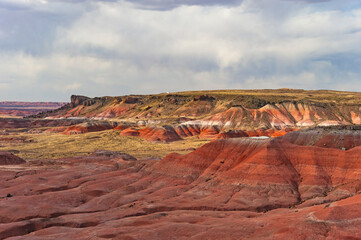 Petrified Forest National Park is a national park of the United States in Navajo and Apache counties in northeastern Arizona, famous for petrified logs, fossils, badlands,  ancient petroglyphs, painte