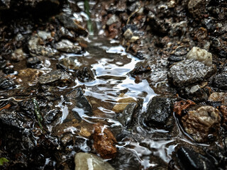 a small stream or trickle of water flowing over rocks and sediment. a natural streambed abstract...