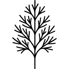 Naklejka premium Dill herb fronds outline icon vector