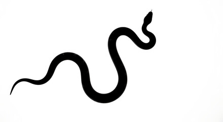 Fototapeta premium Elegant Black Snake Silhouette A Minimalist Illustration