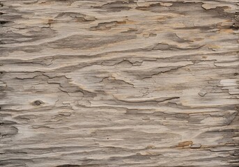 Aged Weathered Wood Plank Texture. Close up of an old, distressed timber surface revealing intricate grain patterns and natural cracks. Its peeling layers suggest the passage of time and enduring.